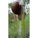 ZDJĘCIA Z TEGO TELEFONU