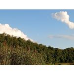 ZDJĘCIA Z TEGO TELEFONU