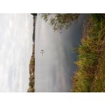 ZDJĘCIA Z TEGO TELEFONU