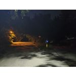 Zdjęcia użytkowników Motorola RAZR 50 Ultra