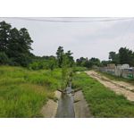 Zdjęcia użytkowników Motorola RAZR 50 Ultra