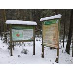 Zdjęcia użytkowników Motorola Signature