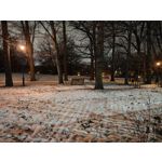 Zdjęcia użytkowników Motorola Signature