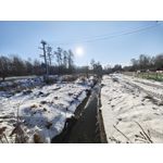 Zdjęcia użytkowników Motorola Signature