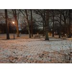 Zdjęcia użytkowników Motorola Signature