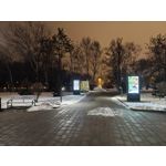 Zdjęcia użytkowników Motorola Signature