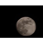 Zdjęcia użytkowników Motorola Signature