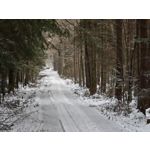 Zdjęcia użytkowników Motorola Signature