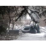 Zdjęcia użytkowników Motorola Signature