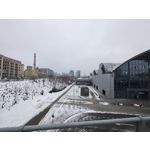 Zdjęcia użytkowników Motorola Signature