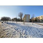 Zdjęcia użytkowników Motorola Signature