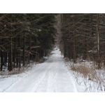 Zdjęcia użytkowników Motorola Signature