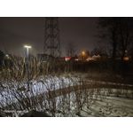 Zdjęcia użytkowników Motorola Signature