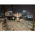 Zdjęcia użytkowników Motorola Signature