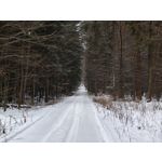 Zdjęcia użytkowników Motorola Signature