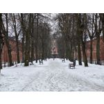 Zdjęcia użytkowników Motorola Signature