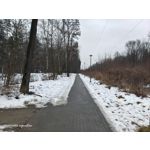 Zdjęcia użytkowników Motorola Signature