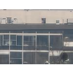 Zdjęcia użytkowników Motorola Signature