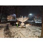 Zdjęcia użytkowników Motorola Signature