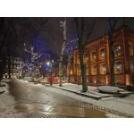 Zdjęcia użytkowników Motorola Signature