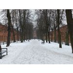 Zdjęcia użytkowników Motorola Signature