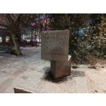 Zdjęcia użytkowników Motorola Signature