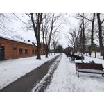 Zdjęcia użytkowników Motorola Signature