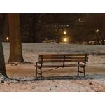 Zdjęcia użytkowników Motorola Signature