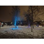 Zdjęcia użytkowników Motorola Signature