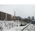 Zdjęcia użytkowników Motorola Signature