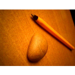 Zdjęcia użytkowników myPhone 6600 Free