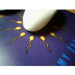 Zdjęcia użytkowników myPhone 6600 Free