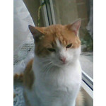 ZDJĘCIA Z TEGO TELEFONU ZDJĘCIA Z TEGO TELEFONU