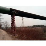 Zdjęcia użytkowników myPhone City XL