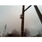 Zdjęcia użytkowników myPhone City XL