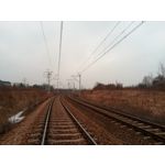 Zdjęcia użytkowników myPhone City XL