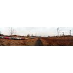 Zdjęcia użytkowników myPhone City XL