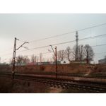 Zdjęcia użytkowników myPhone City XL