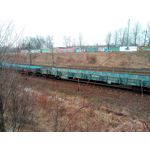 Zdjęcia użytkowników myPhone City XL