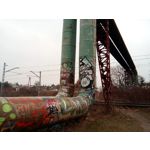 Zdjęcia użytkowników myPhone City XL