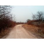 Zdjęcia użytkowników myPhone City XL