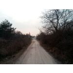 Zdjęcia użytkowników myPhone City XL