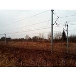 Zdjęcia użytkowników myPhone City XL