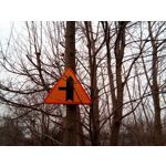 Zdjęcia użytkowników myPhone City XL