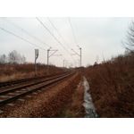 Zdjęcia użytkowników myPhone City XL