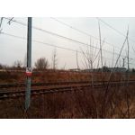 Zdjęcia użytkowników myPhone City XL