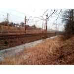 Zdjęcia użytkowników myPhone City XL