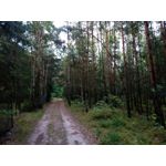 Zdjęcia użytkowników myPhone City