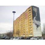 Zdjęcia użytkowników myPhone Cube LTE