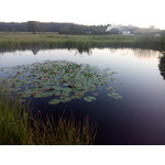 Zdjęcia użytkowników myPhone Cube Zdjęcia użytkowników myPhone Cube